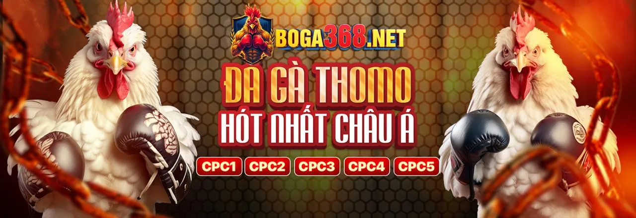 Đá gà 678win game kịch tính
